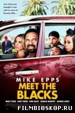 Meet the Blacks (2016)