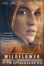 Wildflower (2016)