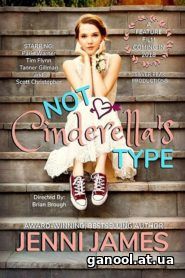 Not Cinderella’s Type 2018