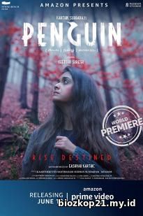 Penguin (2020)