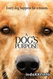 A Dog's Purpose (2017)