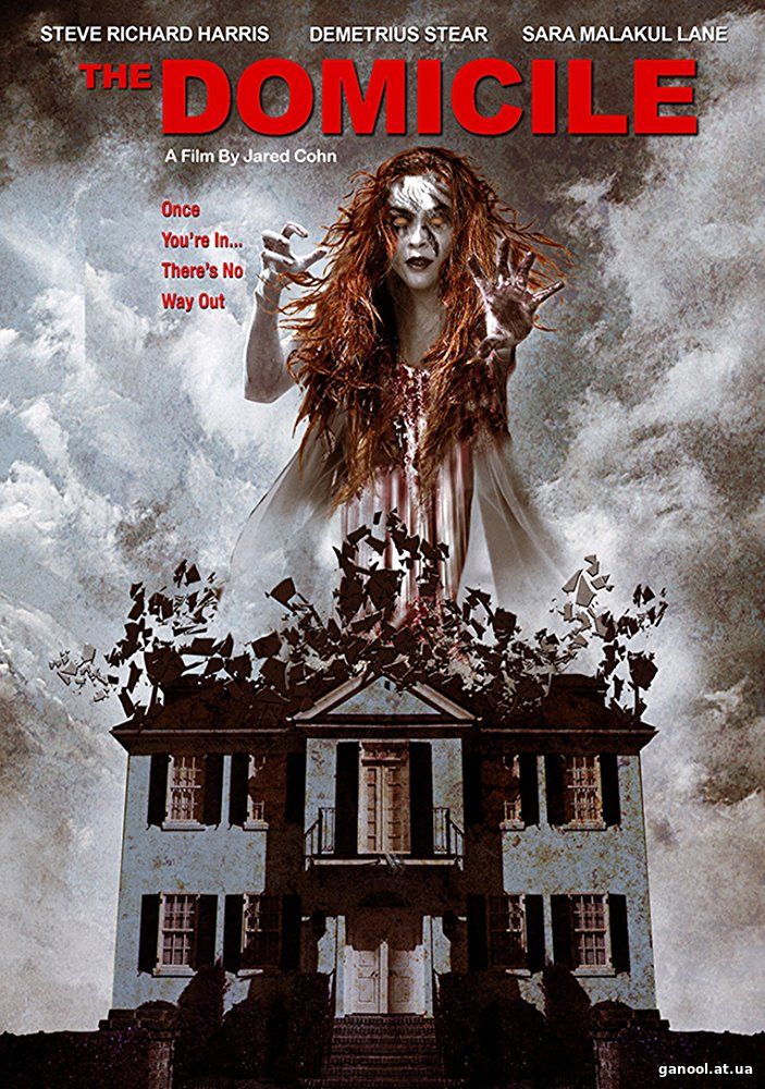 The Domicile (2017)